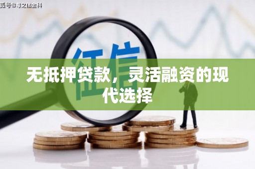 盐水无抵押贷款，灵活融资的现代选择