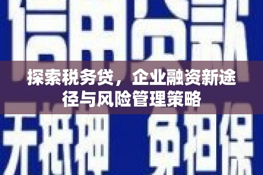 盐水探索税务贷，企业融资新途径与风险管理策略