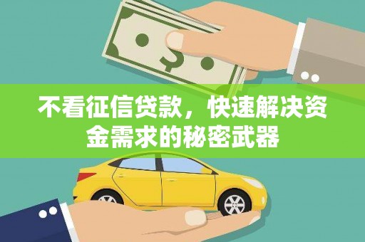 盐水不看征信贷款，快速解决资金需求的秘密武器
