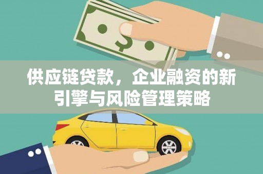 盐水供应链贷款，企业融资的新引擎与风险管理策略