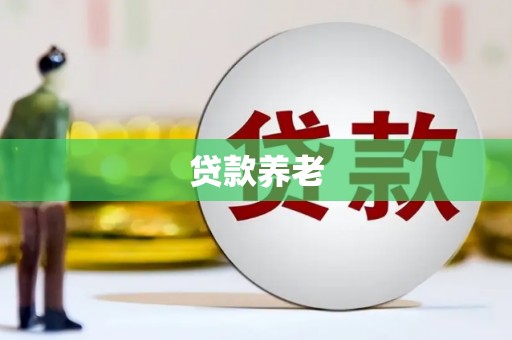 盐水贷款养老