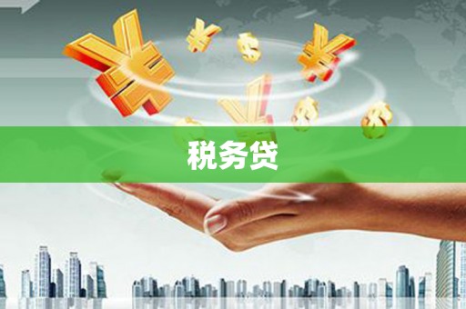 盐水税务贷