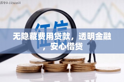 盐水无隐藏费用贷款，透明金融，安心借贷