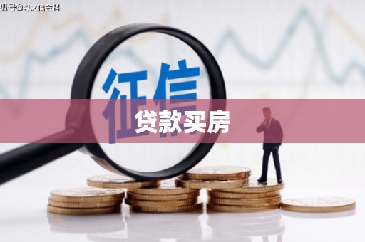 盐水贷款买房