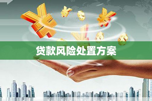 盐水贷款风险处置方案