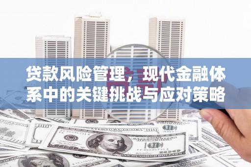 盐水贷款风险管理，现代金融体系中的关键挑战与应对策略