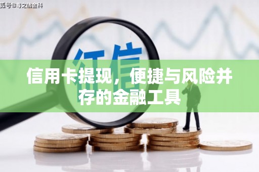 盐水信用卡提现，便捷与风险并存的金融工具