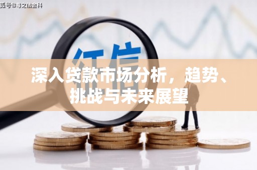 盐水深入贷款市场分析，趋势、挑战与未来展望