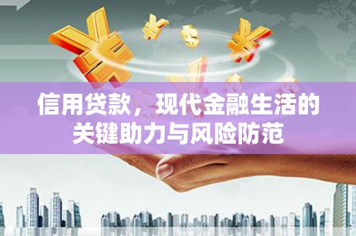 盐水信用贷款，现代金融生活的关键助力与风险防范