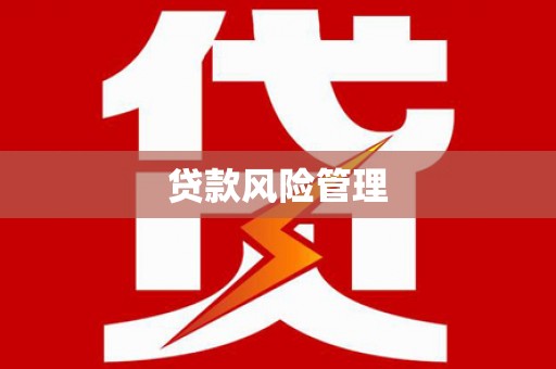 盐水贷款风险管理