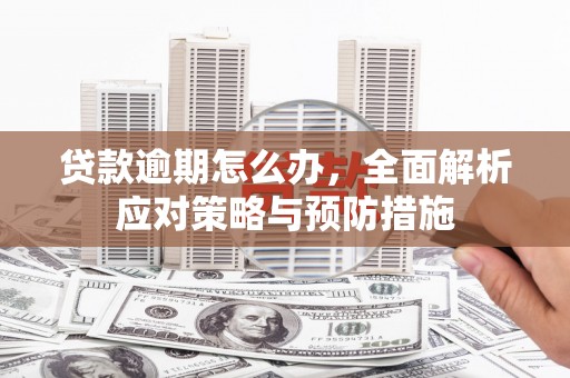 盐水贷款逾期怎么办，全面解析应对策略与预防措施