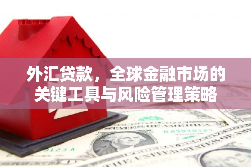 盐水外汇贷款，全球金融市场的关键工具与风险管理策略