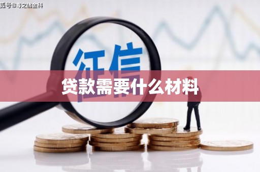 盐水贷款需要什么材料