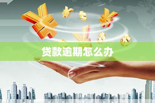 盐水贷款逾期怎么办