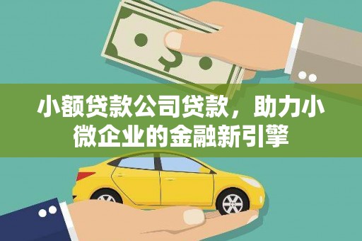 盐水小额贷款公司贷款，助力小微企业的金融新引擎