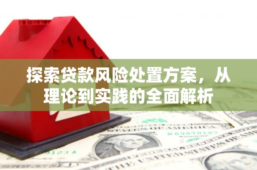 盐水探索贷款风险处置方案，从理论到实践的全面解析