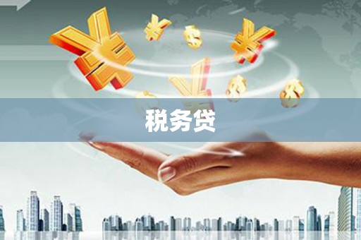 盐水税务贷