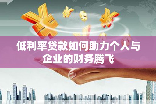 盐水低利率贷款如何助力个人与企业的财务腾飞