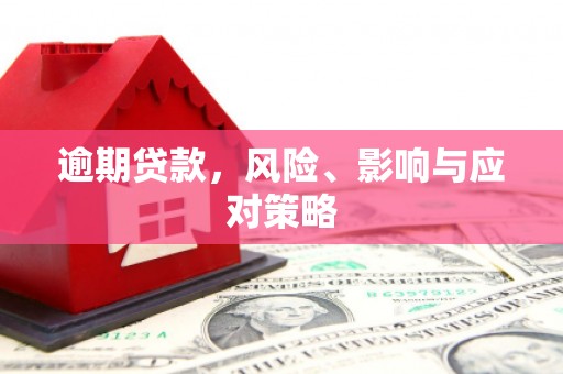盐水逾期贷款，风险、影响与应对策略