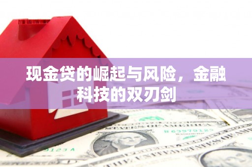 盐水现金贷的崛起与风险，金融科技的双刃剑