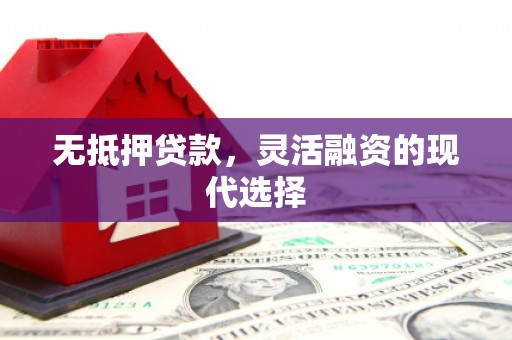 盐水无抵押贷款，灵活融资的现代选择