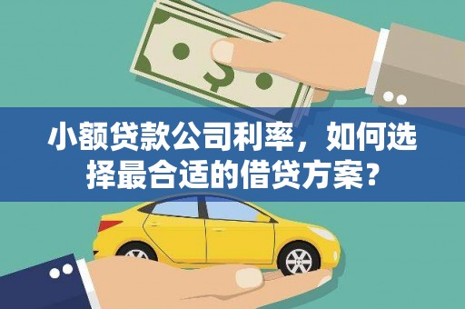 盐水小额贷款公司利率，如何选择最合适的借贷方案？