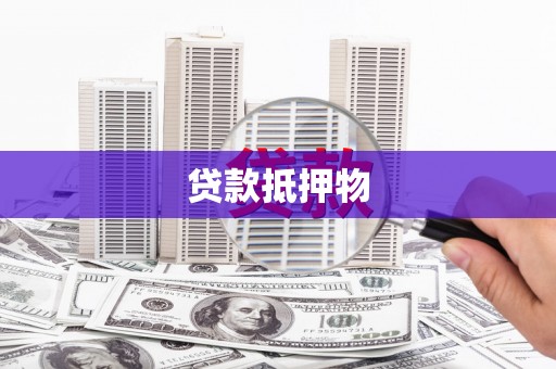 盐水贷款抵押物