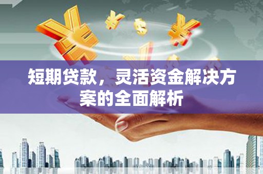 盐水短期贷款，灵活资金解决方案的全面解析