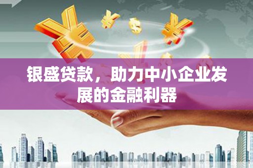盐水银盛贷款，助力中小企业发展的金融利器