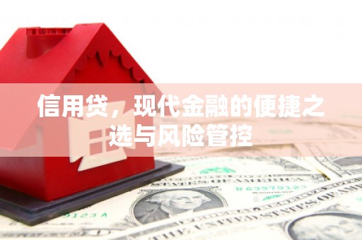 盐水信用贷，现代金融的便捷之选与风险管控