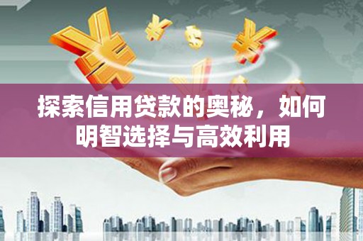 盐水探索信用贷款的奥秘，如何明智选择与高效利用