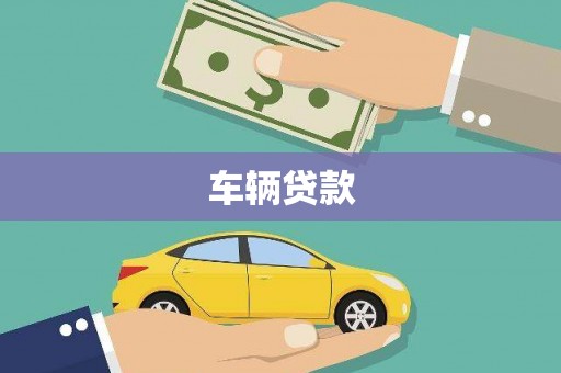 盐水车辆贷款