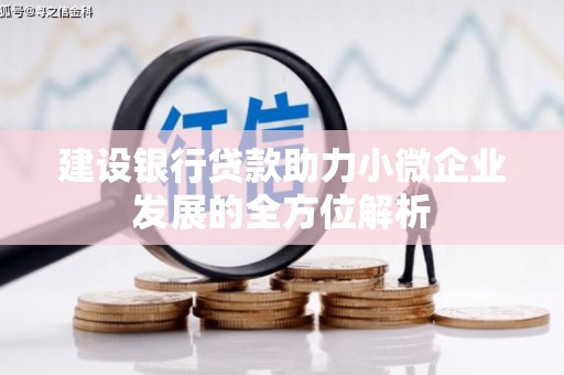 盐水建设银行贷款助力小微企业发展的全方位解析