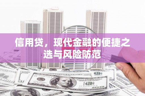 盐水信用贷，现代金融的便捷之选与风险防范
