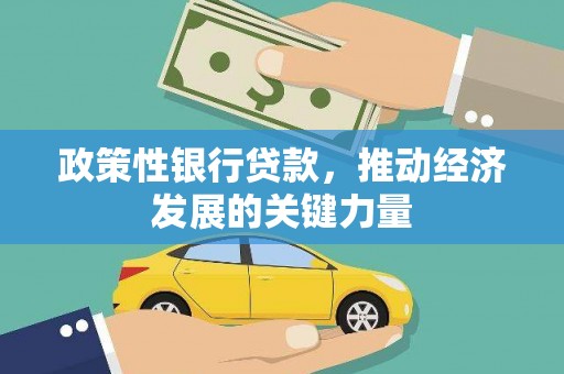 盐水政策性银行贷款，推动经济发展的关键力量
