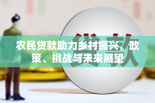 盐水农民贷款助力乡村振兴，政策、挑战与未来展望