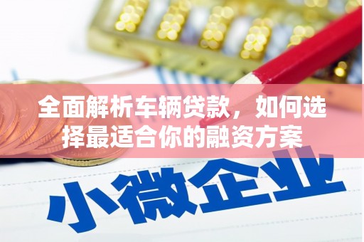 盐水全面解析车辆贷款，如何选择最适合你的融资方案