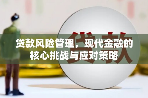 盐水贷款风险管理，现代金融的核心挑战与应对策略
