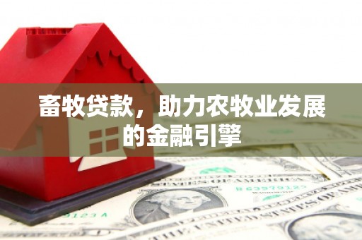 盐水畜牧贷款，助力农牧业发展的金融引擎