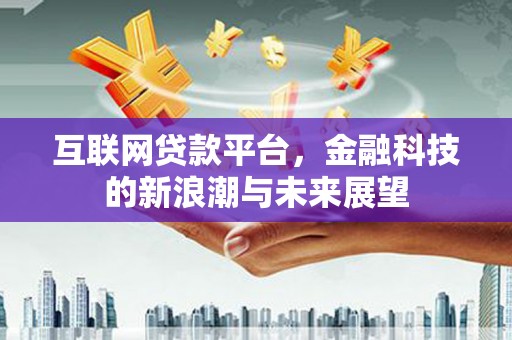 盐水互联网贷款平台，金融科技的新浪潮与未来展望