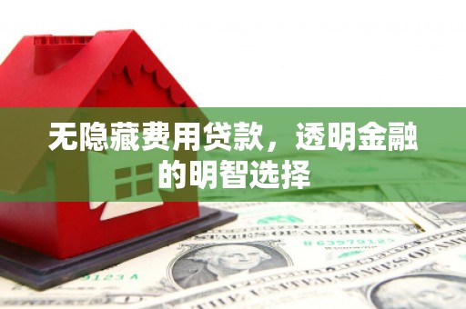 盐水无隐藏费用贷款，透明金融的明智选择