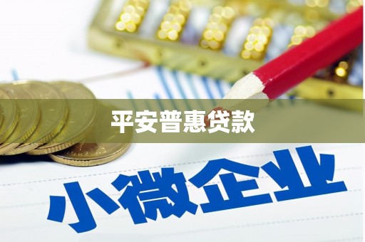 盐水平安普惠贷款