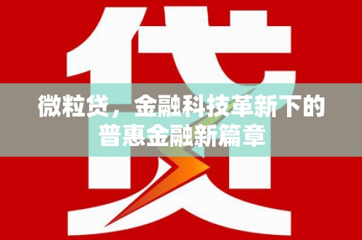 盐水微粒贷，金融科技革新下的普惠金融新篇章