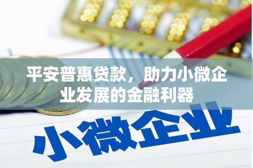 盐水平安普惠贷款，助力小微企业发展的金融利器