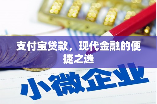 盐水支付宝贷款，现代金融的便捷之选