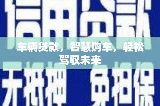 盐水车辆贷款，智慧购车，轻松驾驭未来