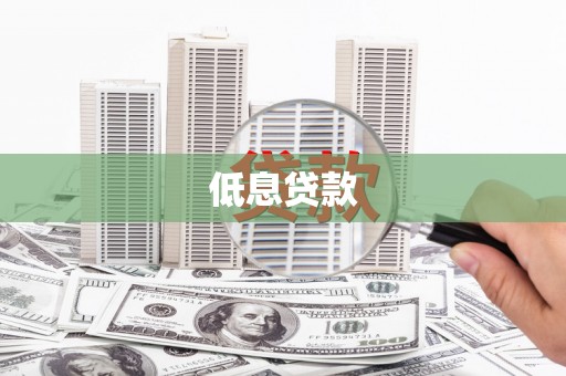 盐水低息贷款