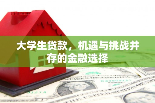 盐水大学生贷款，机遇与挑战并存的金融选择