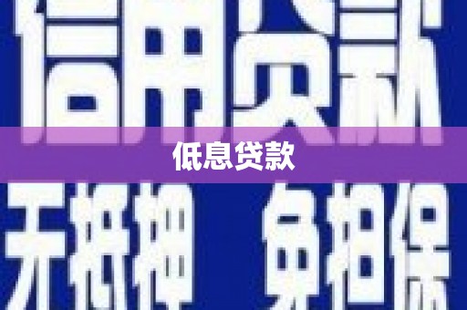 盐水低息贷款