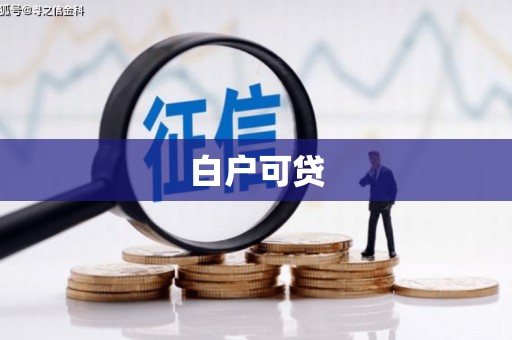 盐水白户可贷